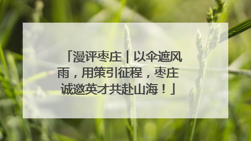 漫评枣庄｜以伞遮风雨，用策引征程，枣庄诚邀英才共赴山海！